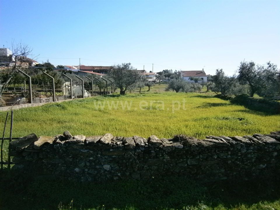 Helårsgrund i Vila Velha de Rodao, Castelo Branco - foto 2