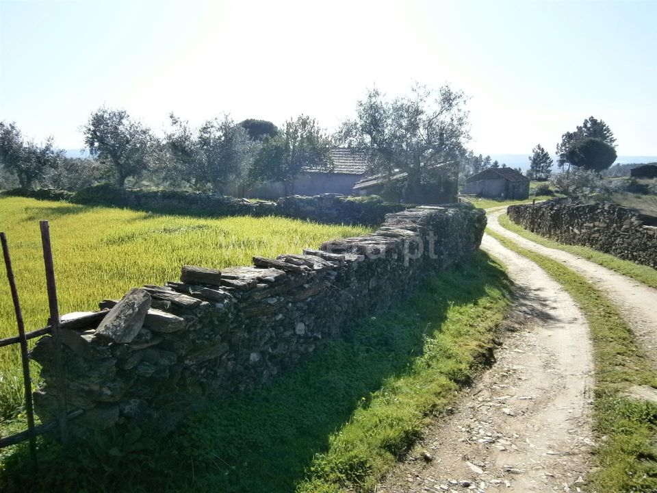 Helårsgrund i Vila Velha de Rodao, Castelo Branco - foto 5