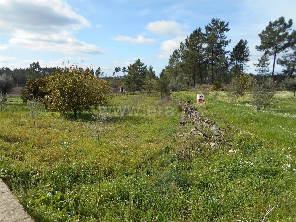 Erhvervsejendom i Proenca-a-Nova, Castelo Branco - foto 1