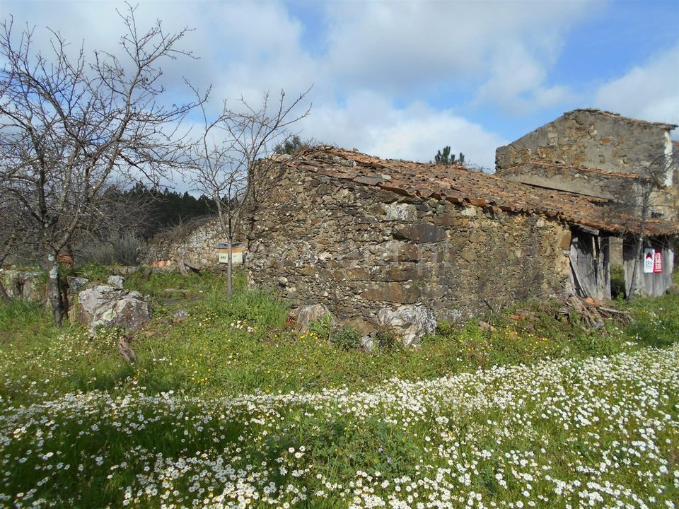 Erhvervsejendom i Proenca-a-Nova, Castelo Branco - foto 3