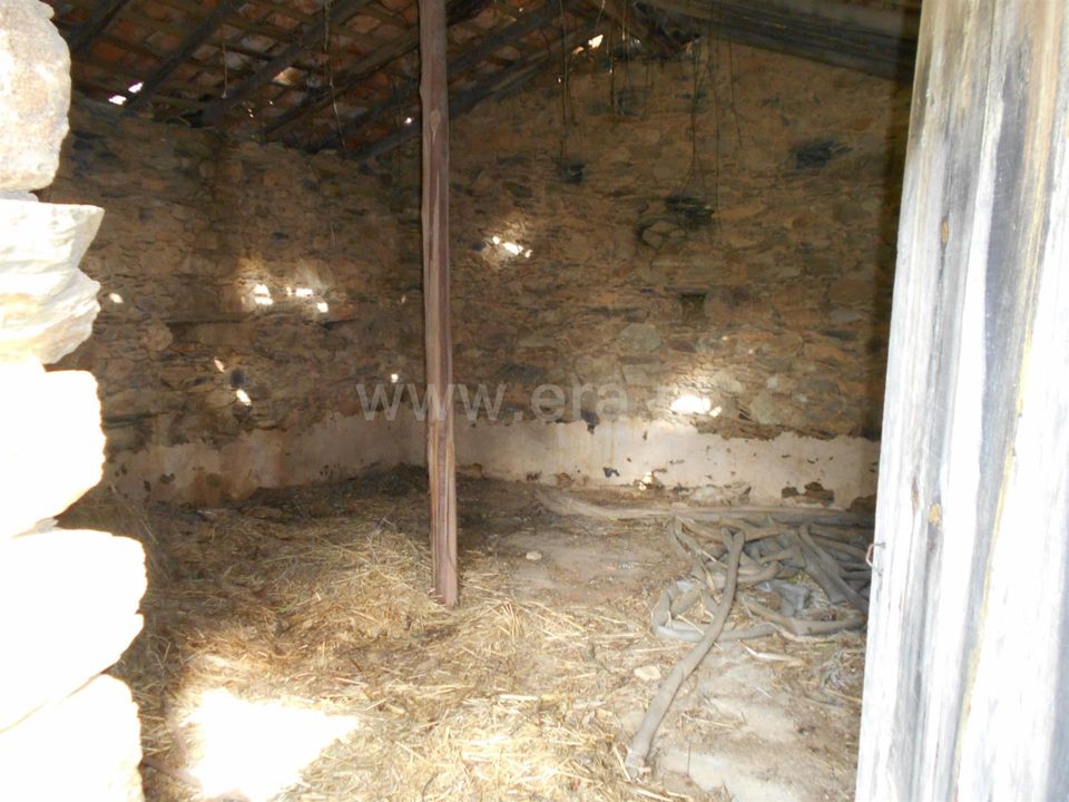 Erhvervsejendom i Proenca-a-Nova, Castelo Branco - foto 5