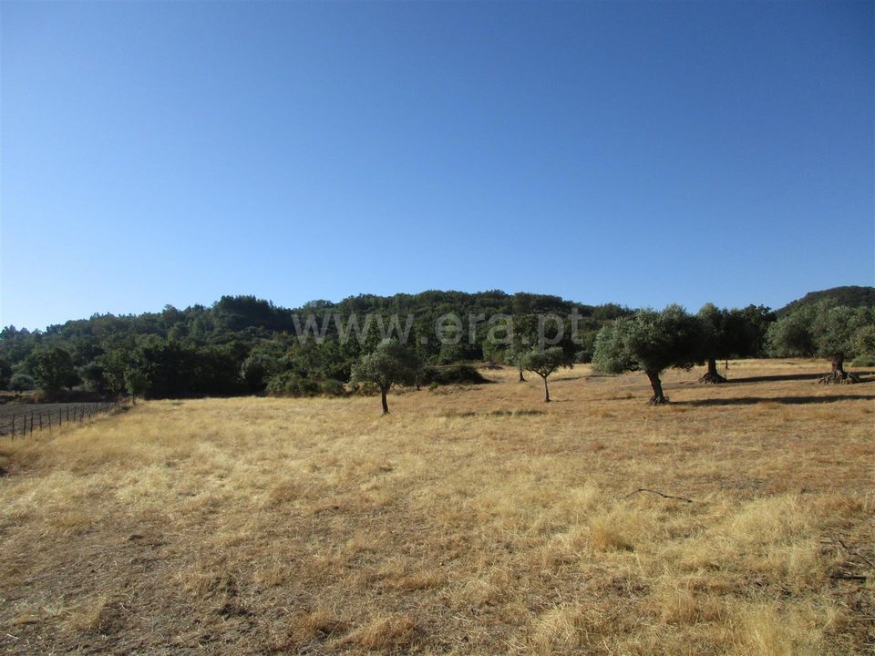 Erhvervsejendom i Penamacor, Castelo Branco - foto 1