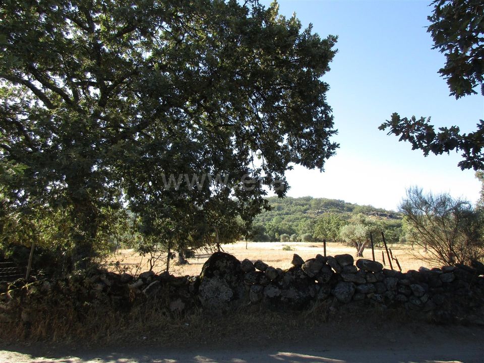 Erhvervsejendom i Penamacor, Castelo Branco - foto 2