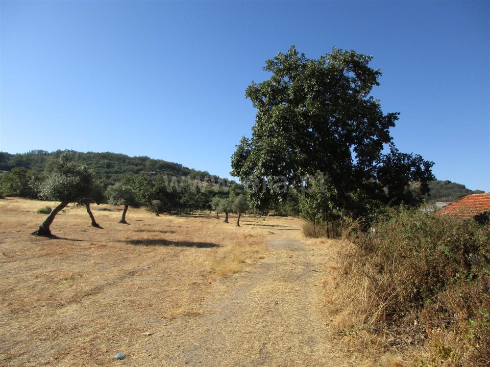 Erhvervsejendom i Penamacor, Castelo Branco - foto 3