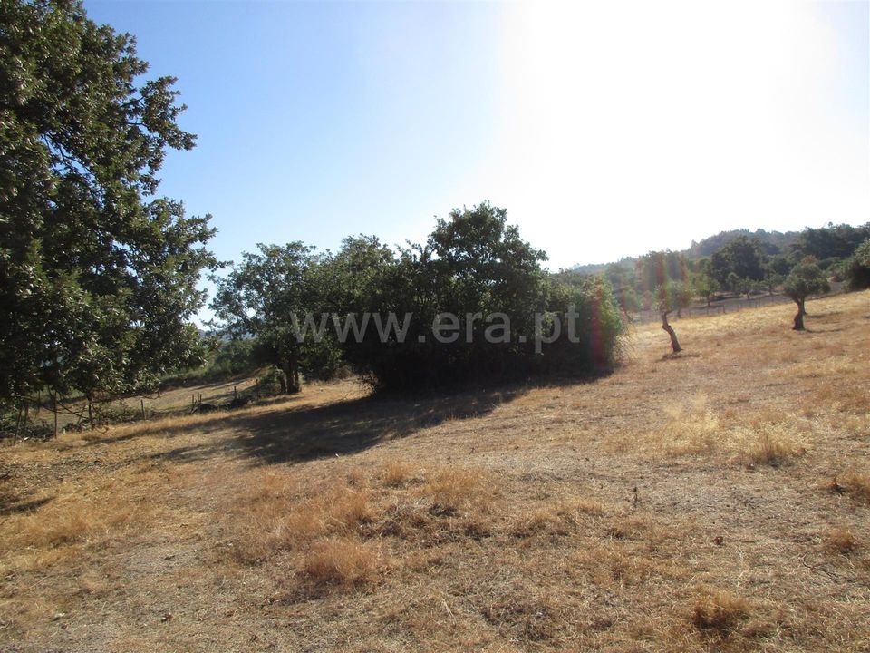 Erhvervsejendom i Penamacor, Castelo Branco - foto 4