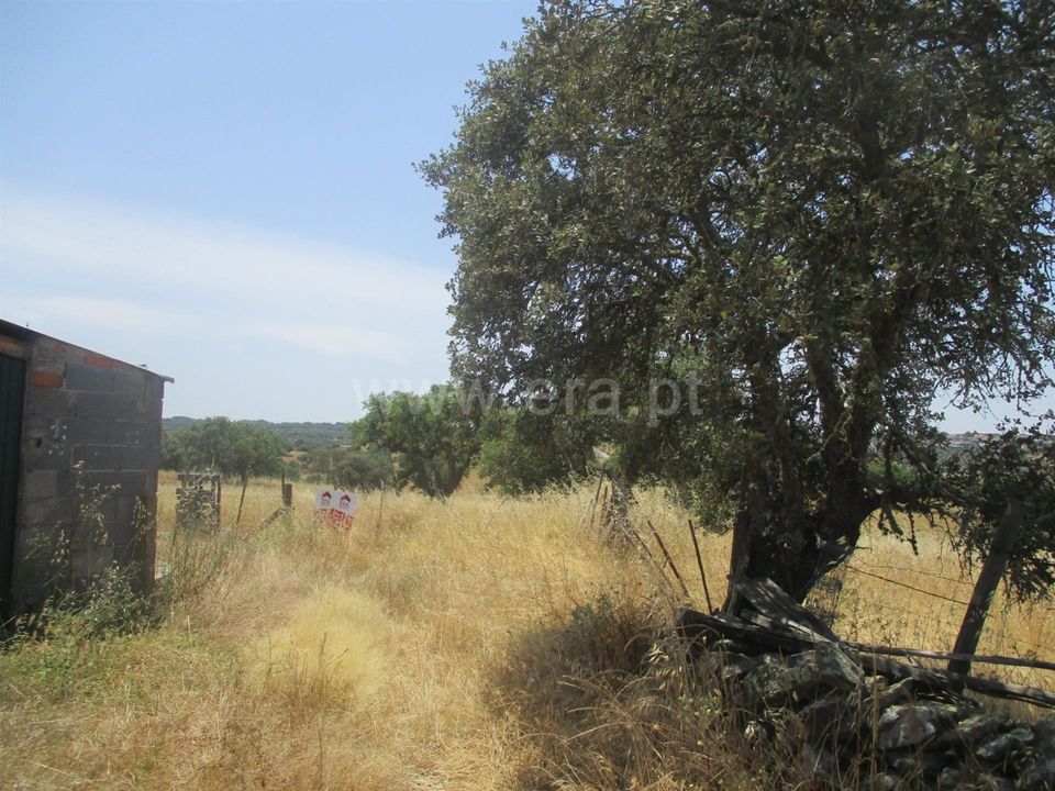 Helårsgrund i Nisa, Portalegre - foto 2