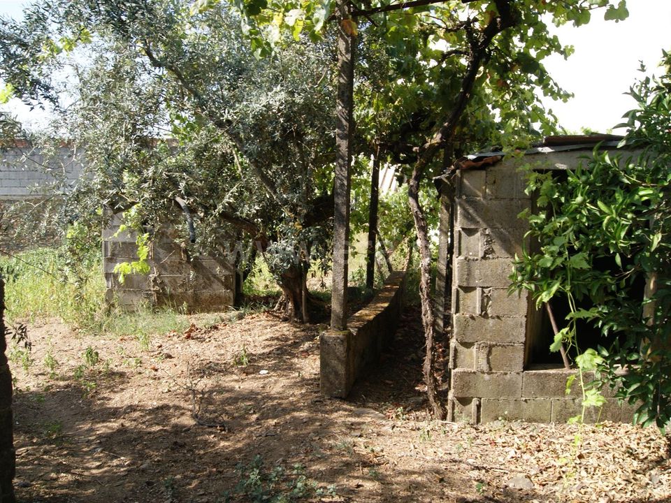 Villa in Proenca-a-Nova, Castelo Branco - foto 4