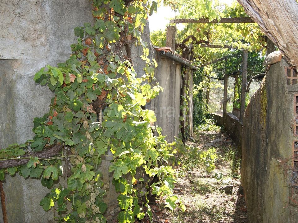 Villa in Proenca-a-Nova, Castelo Branco - foto 5