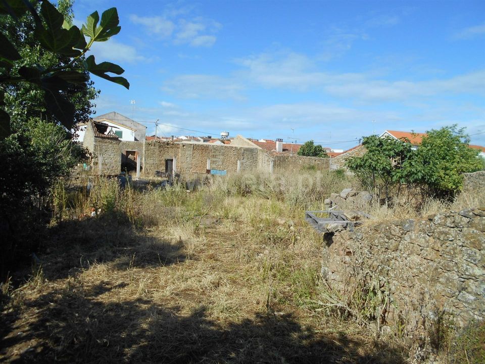 Helårsgrund i Idanha-a-Nova, Castelo Branco - foto 2
