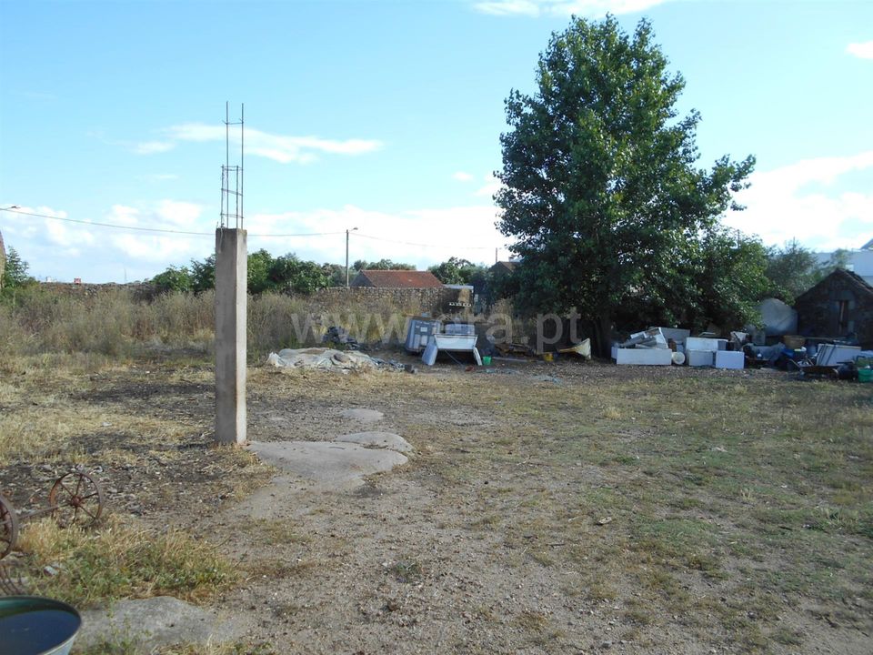 Helårsgrund i Idanha-a-Nova, Castelo Branco - foto 4