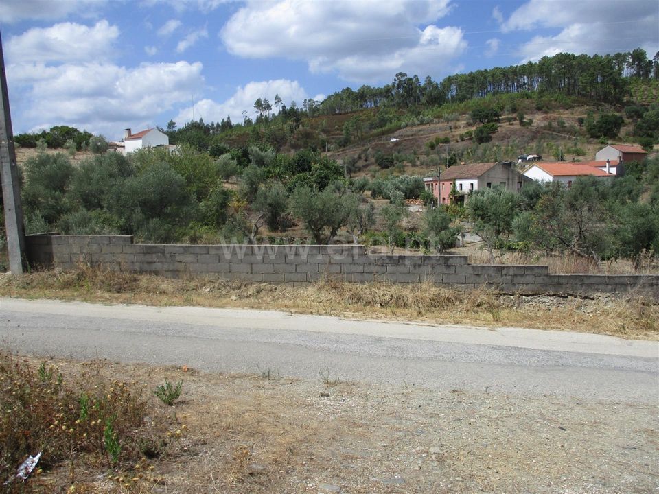 Terra a Proenca-a-Nova, Castelo Branco - foto 2