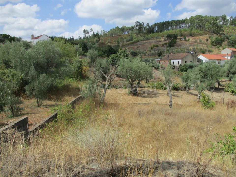 Terra a Proenca-a-Nova, Castelo Branco - foto 3