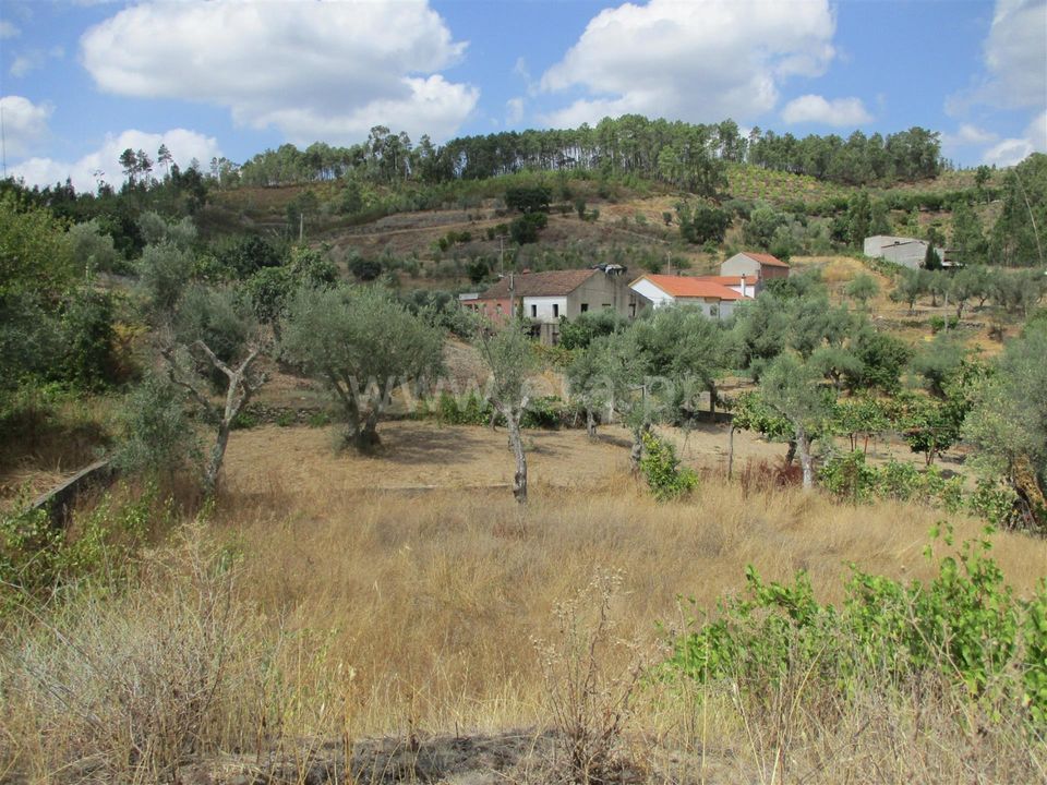 Terra a Proenca-a-Nova, Castelo Branco - foto 4