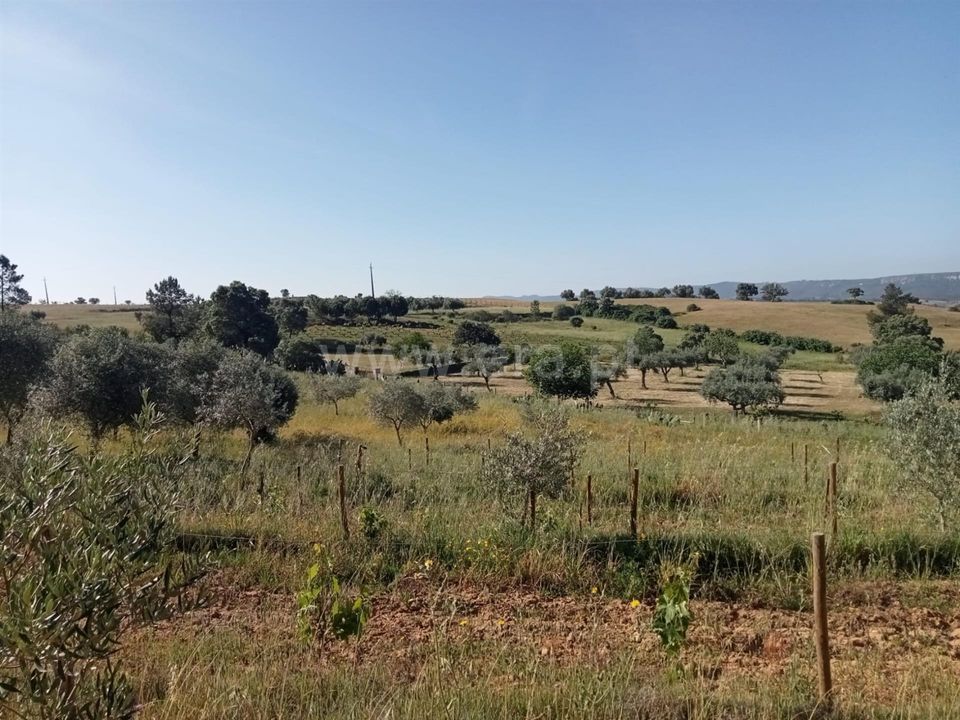 Erhvervsejendom i Vila Velha de Rodao, Castelo Branco - foto 1