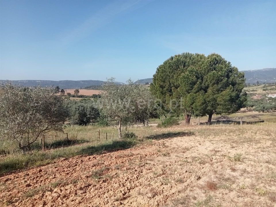 Erhvervsejendom i Vila Velha de Rodao, Castelo Branco - foto 4