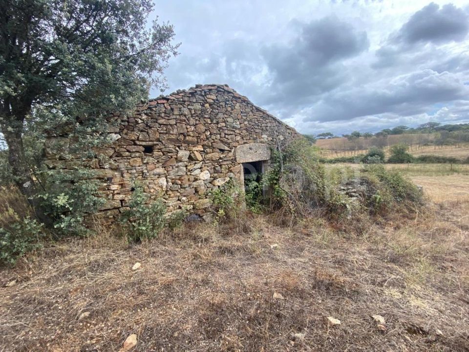 Erhvervsejendom i Penamacor, Castelo Branco - foto 1