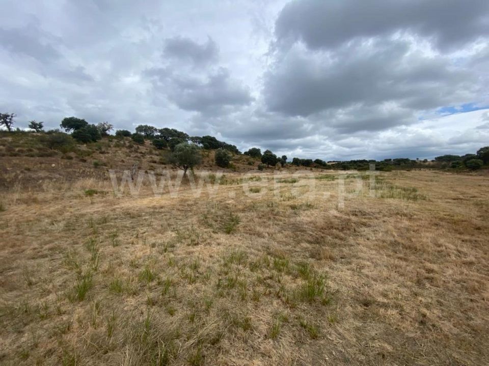 Erhvervsejendom i Penamacor, Castelo Branco - foto 2