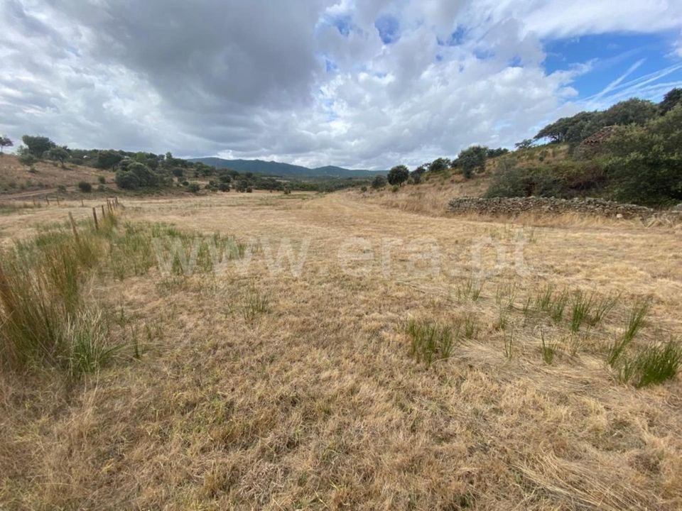 Erhvervsejendom i Penamacor, Castelo Branco - foto 3