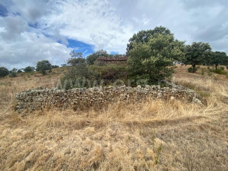 Erhvervsejendom i Penamacor, Castelo Branco - foto 4