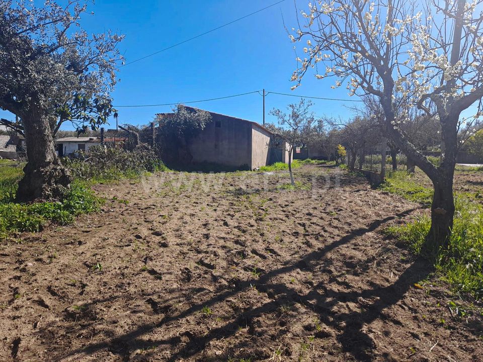 Landejendom i Idanha-a-Nova, Castelo Branco - foto 2