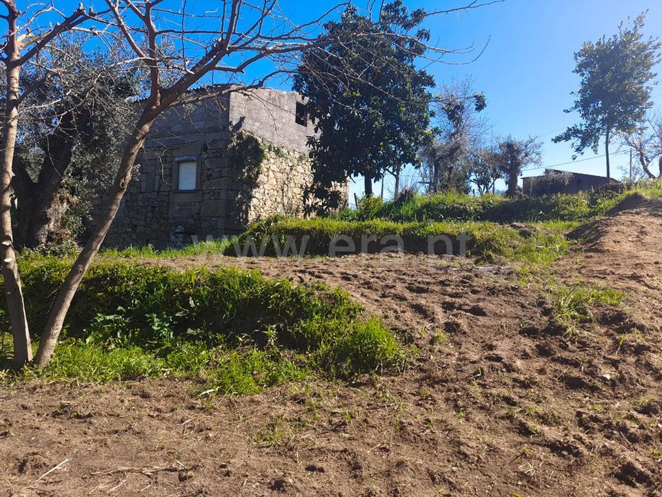 Landejendom i Idanha-a-Nova, Castelo Branco - foto 4