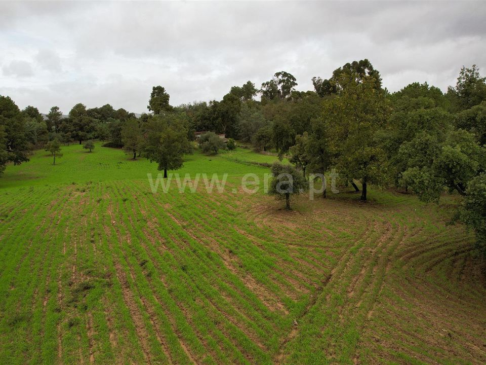 Helårsgrund i Fundao, Castelo Branco - foto 2