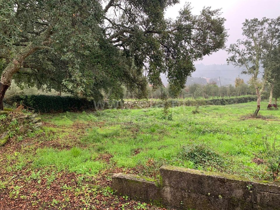 Helårsgrund i Serta, Castelo Branco - foto 3