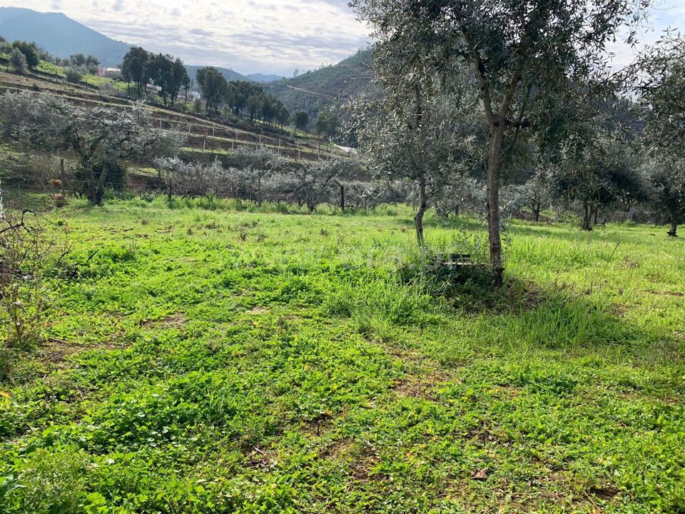 Tomt i Oleiros, Castelo Branco - bilde 2