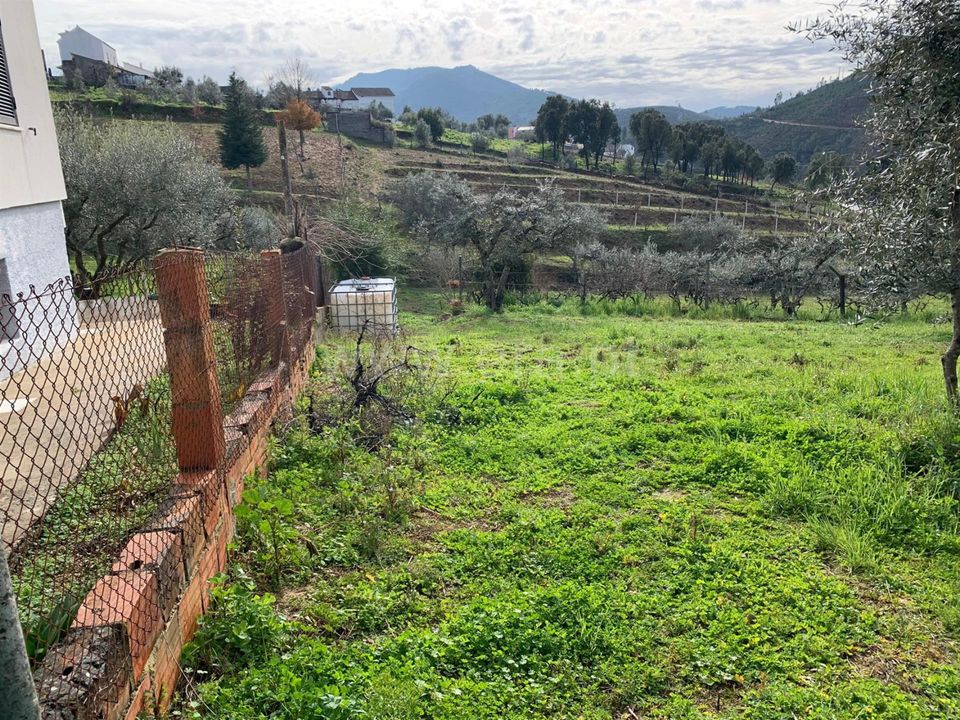Tomt i Oleiros, Castelo Branco - bilde 3