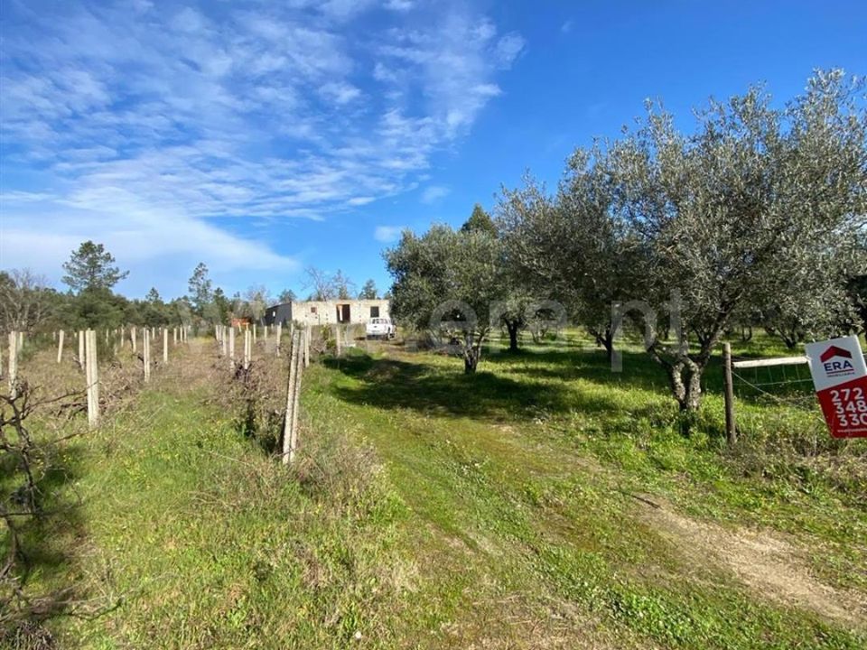 Erhvervsejendom i Penamacor, Castelo Branco - foto 1