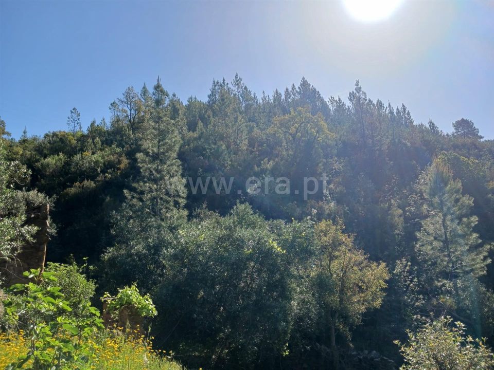 Tomt i Proenca-a-Nova, Castelo Branco - bilde 2