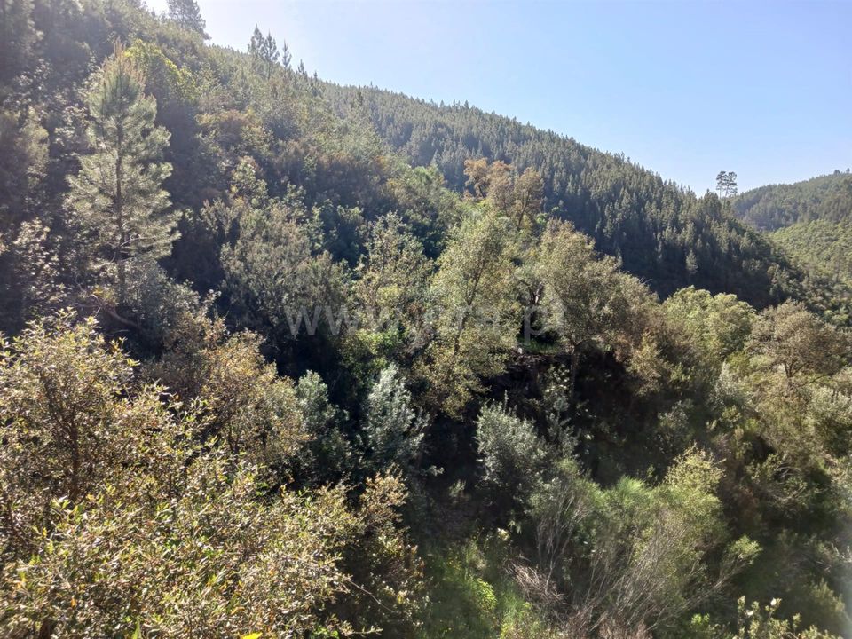 Tomt i Proenca-a-Nova, Castelo Branco - bilde 4
