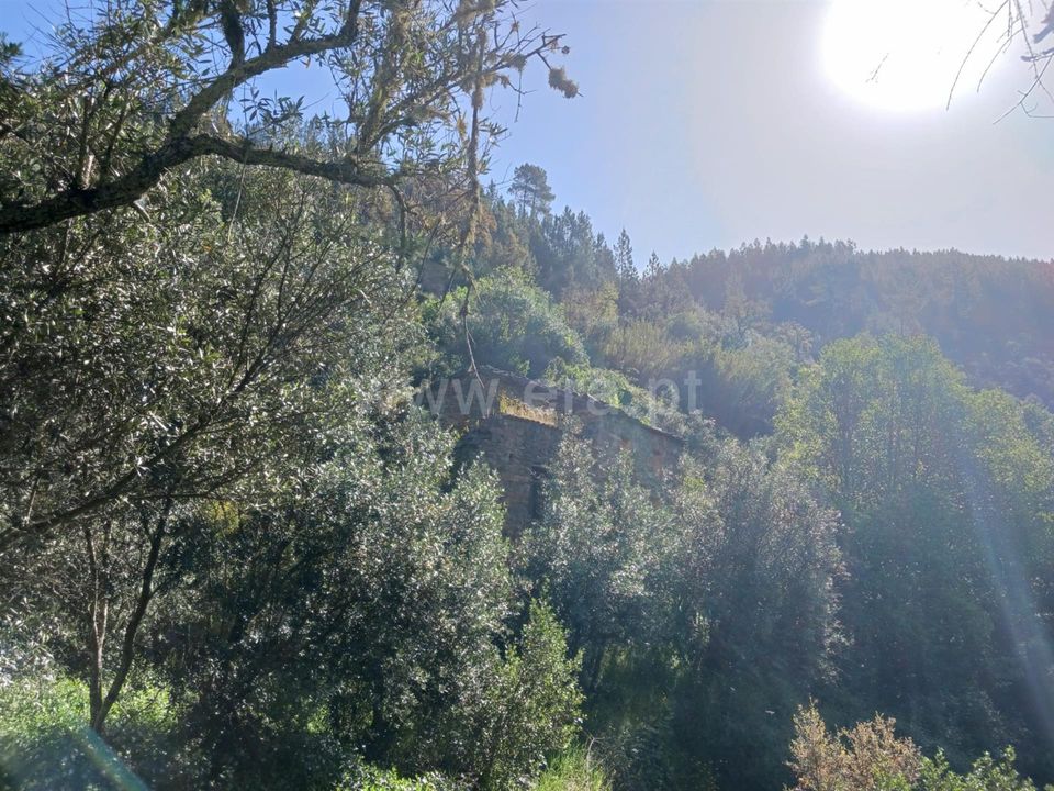 Tomt i Proenca-a-Nova, Castelo Branco - bilde 5