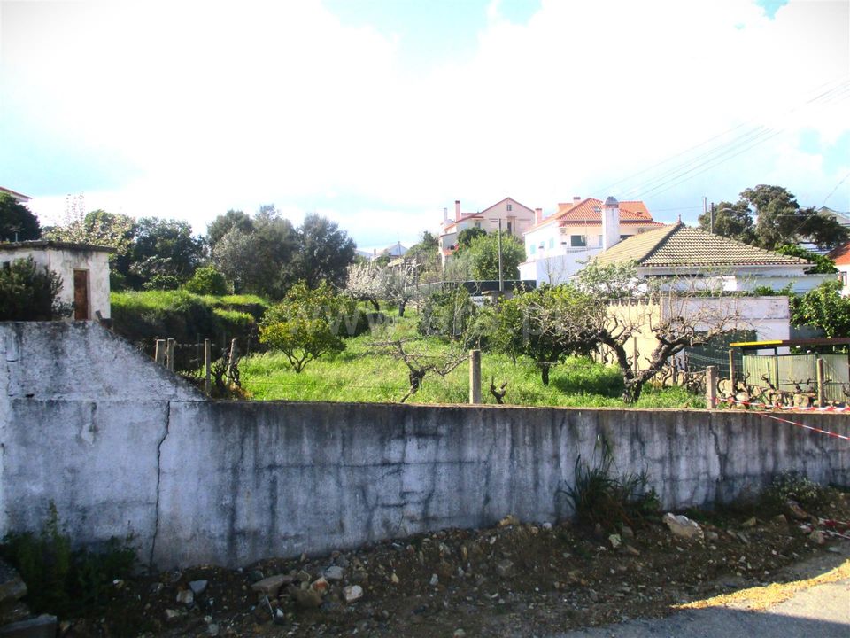 Erhvervsejendom i Proenca-a-Nova, Castelo Branco - foto 1