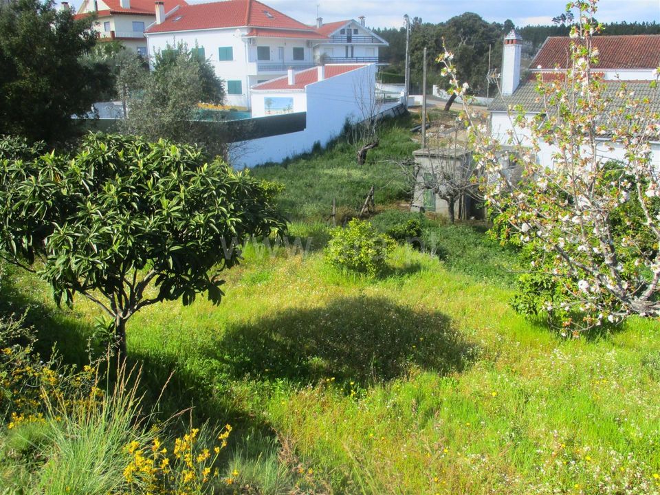 Erhvervsejendom i Proenca-a-Nova, Castelo Branco - foto 2