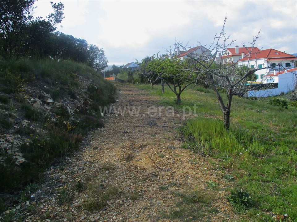 Erhvervsejendom i Proenca-a-Nova, Castelo Branco - foto 4