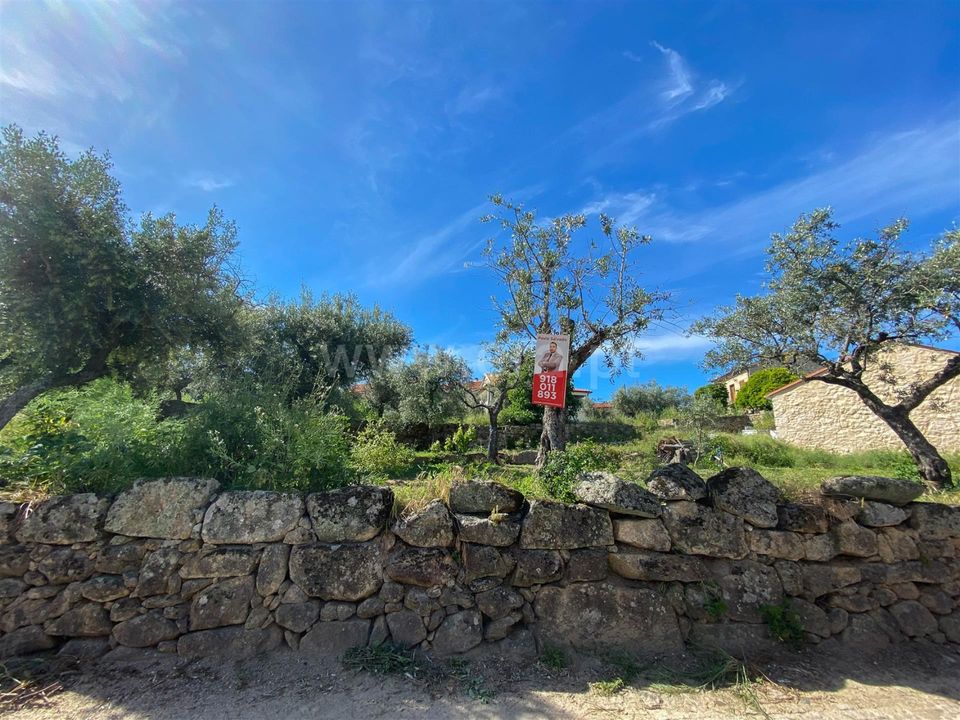 Tomt i Fundao, Castelo Branco - bilde 1