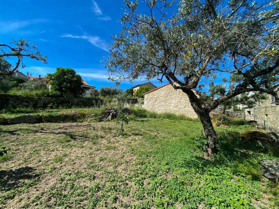 Tomt i Fundao, Castelo Branco - bilde 3