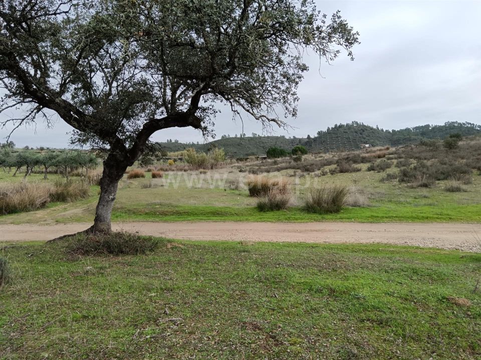 Helårsgrund i Vila Velha de Rodao, Castelo Branco - foto 5