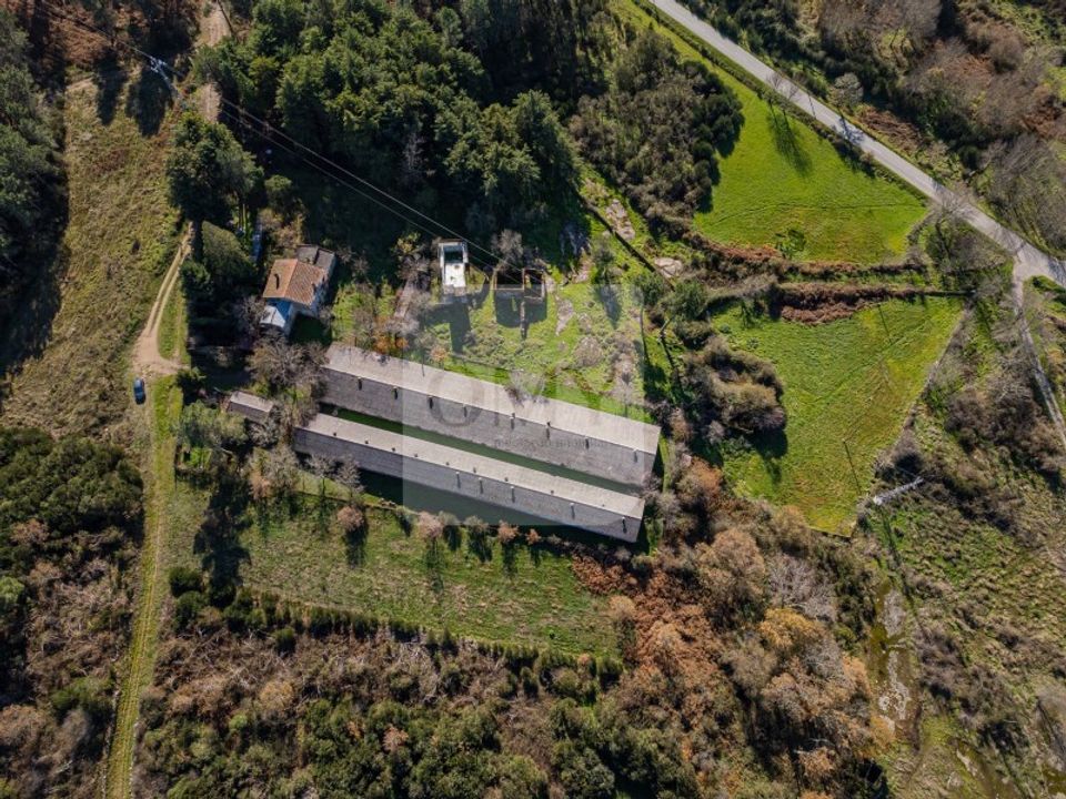 Granja a Sao Lourenco de Ribapinhao, Vila Real - foto 3