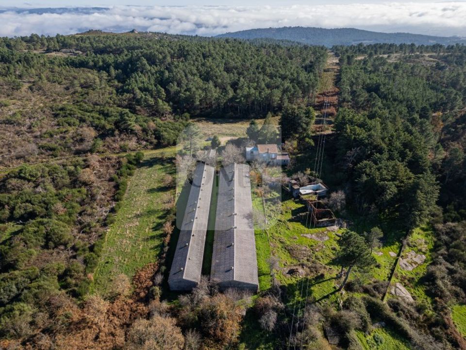 Granja a Sao Lourenco de Ribapinhao, Vila Real - foto 4