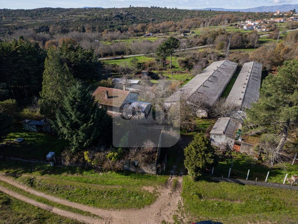 Granja a Sao Lourenco de Ribapinhao, Vila Real - foto 5