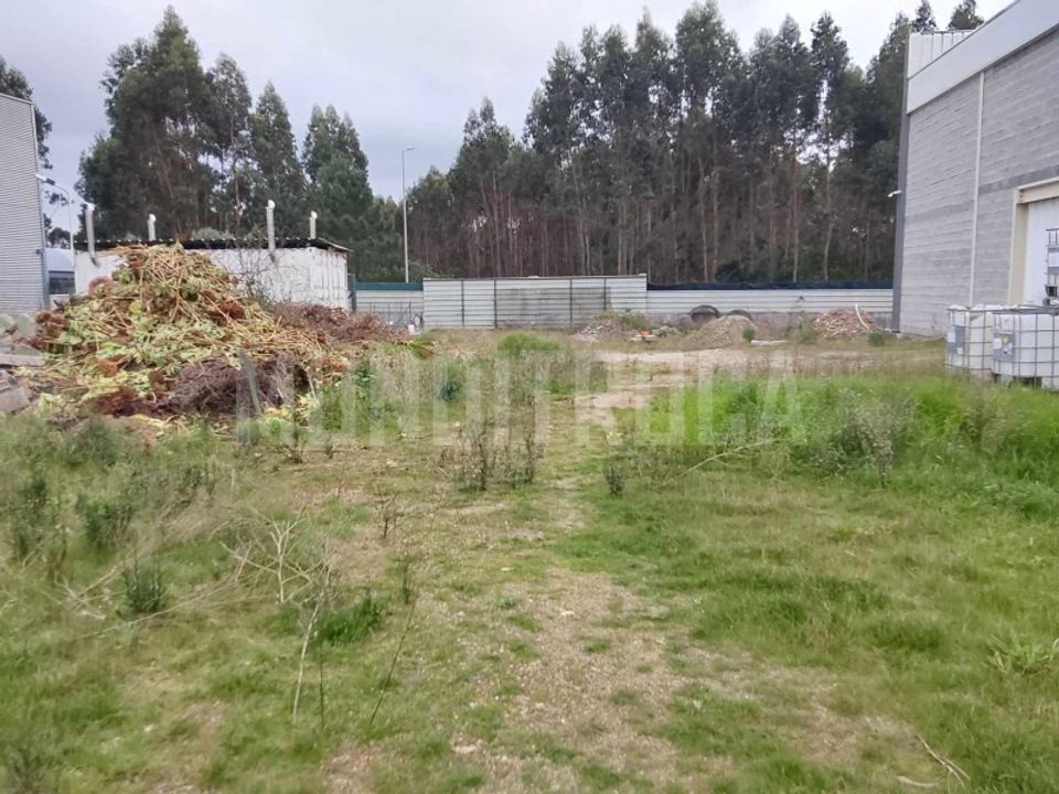 Erhvervsejendom i Esposende, Braga - foto 3