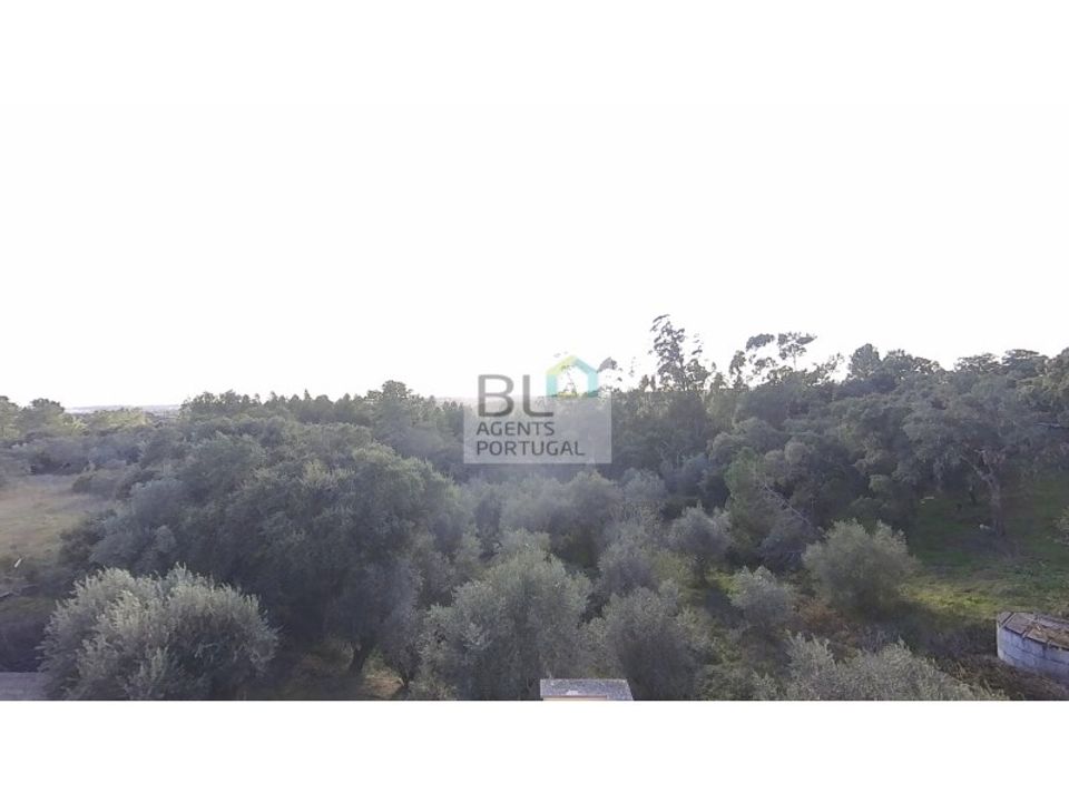 Villa i Tomar, Santarem - foto 3