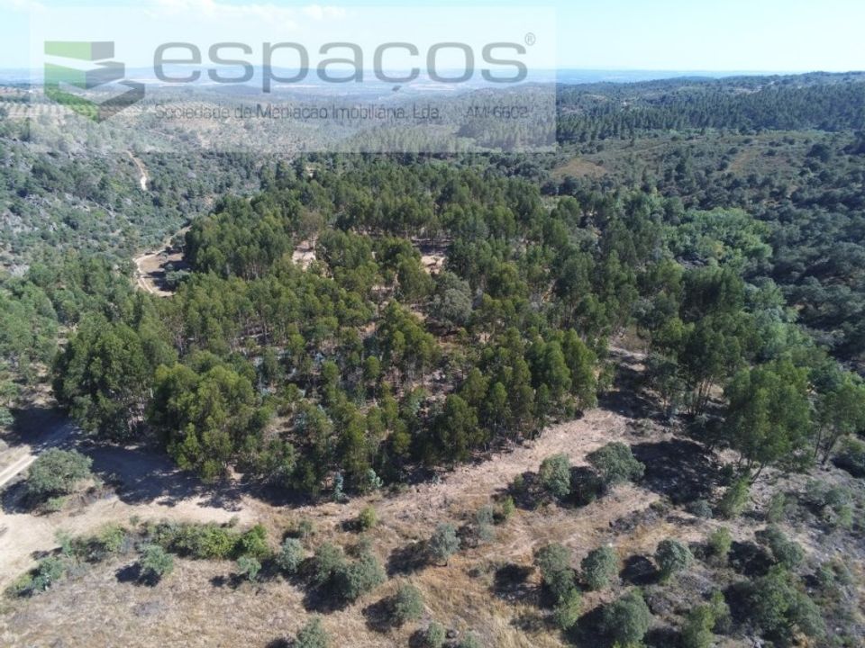 Helårsgrund i Escalos de Baixo, Castelo Branco - foto 1