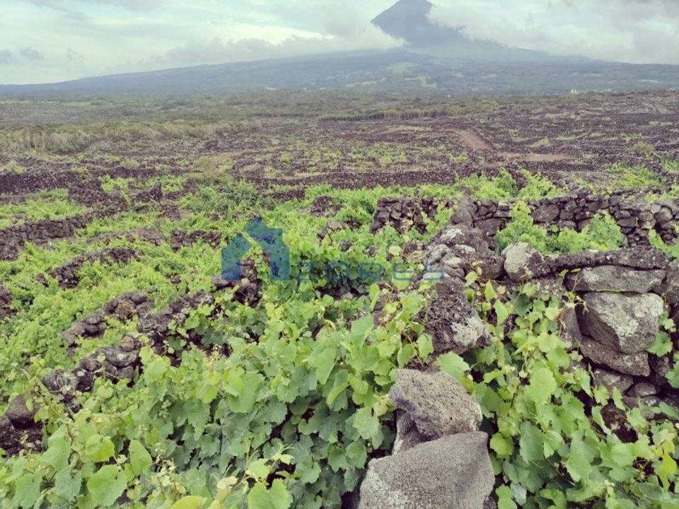 Helårsgrund i Bandeiras, Pico - foto 1
