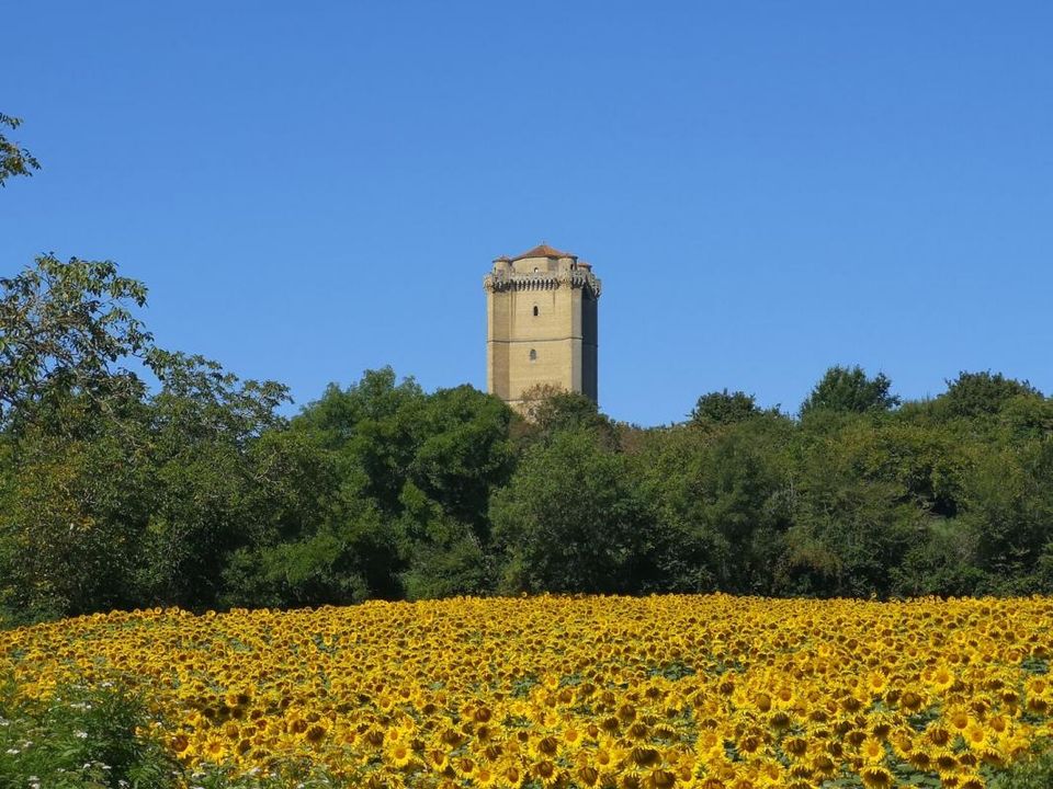 Villa i Bassoues, Gers - foto 3