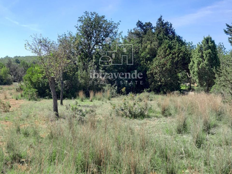 Finca i Santa Eulalia Del Rio, Ibiza - foto 1