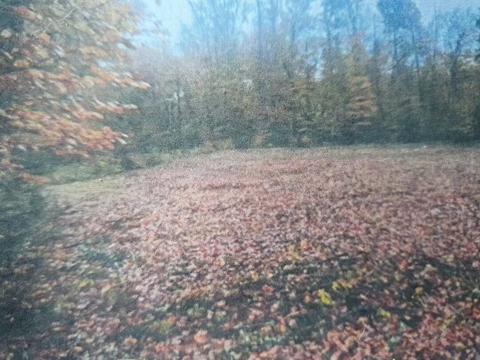 Villa i Liginiac, Correze - foto 4