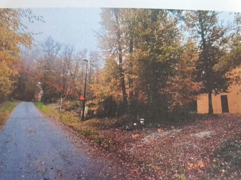 Villa i Liginiac, Correze - foto 5